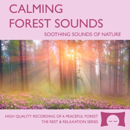 Calming Forest Sounds - Nature Sounds Recording - for Meditation, Relaxation and Creating a Soothing Atmosphere - Nature's Perfect White Noise