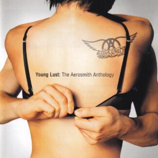 Young Lust: The Aerosmith Anthology